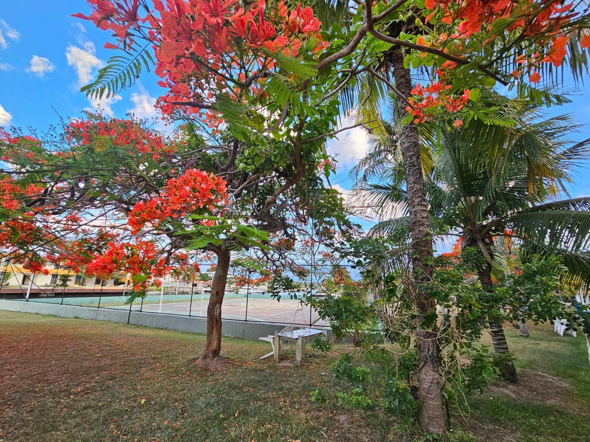 Condominio Cabo Frio Kültér fotó